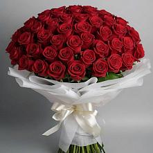 Букет 101 Красная роза Блэк Мэджик в Укромном