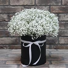 Цветочная композиция из Гипсофила в шляпной коробке в Укромном