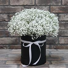 Цветочная композиция из Гипсофила в шляпной коробке в Укромном