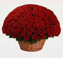 Премиум букет из: Розы в Укромном